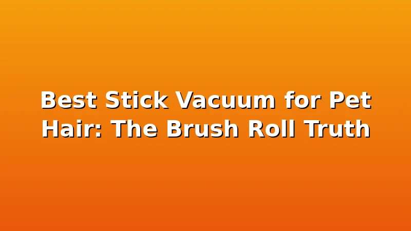 Best Stick Vacuum for Pet Hair: The Brush Roll Truth - DustDraft review with measurements and honest opinion