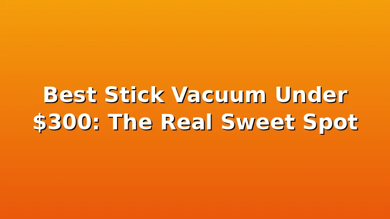 Best Stick Vacuum Under $300: The Real Sweet Spot - DustDraft review with measurements and honest opinion